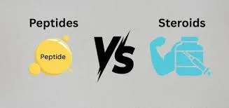 Peptides vs Steroids